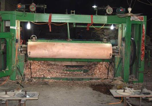 cardless CNC rotary cutting machine